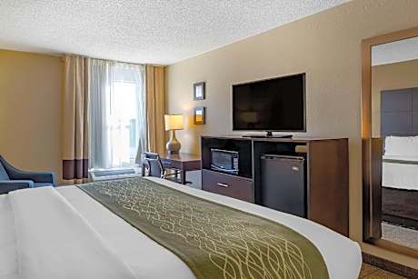 Standard with 1 King Bed