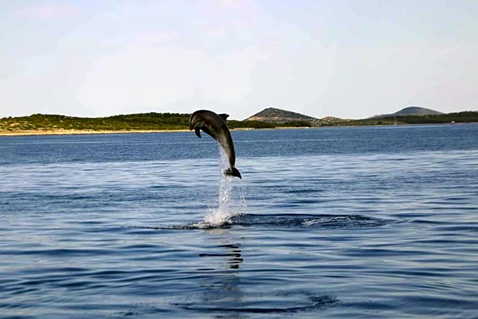 Mobile House 4 you, Murter - Slanica