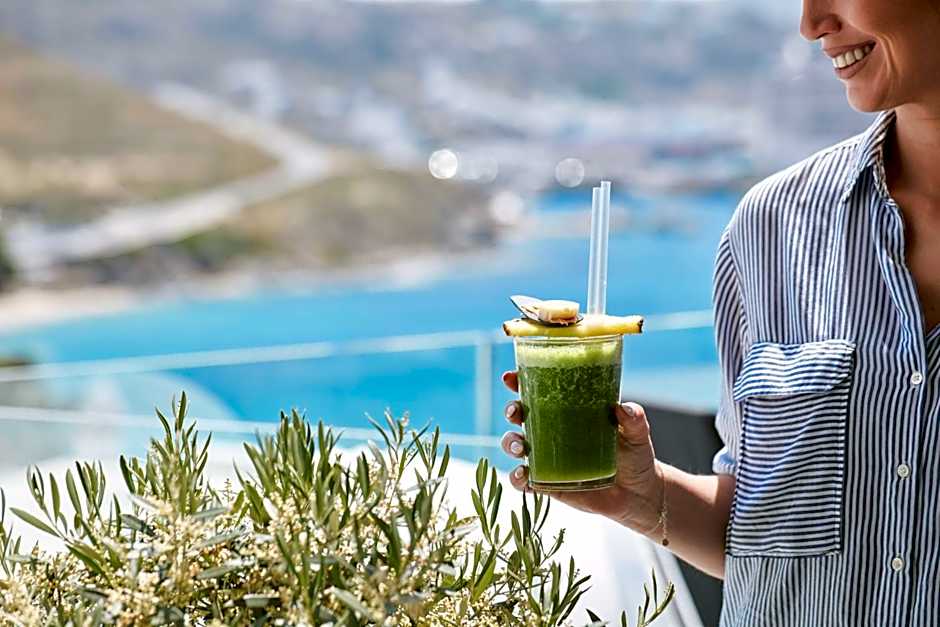 Mykonos Princess Hotel