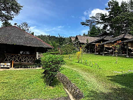 Backpacker's Hill Resort