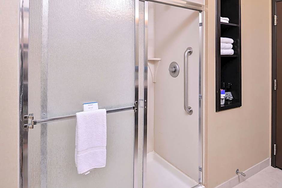 Hampton Inn By Hilton And Suites Big Spring