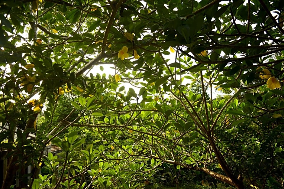 Tangkoko Sanctuary Villa