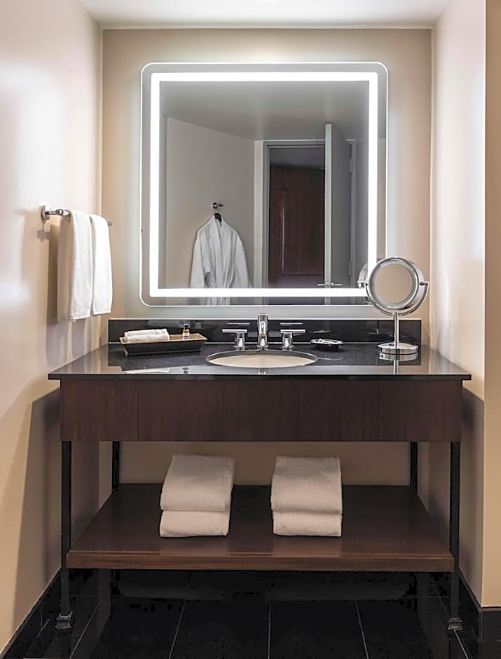 Hyatt Regency Houston Downtown