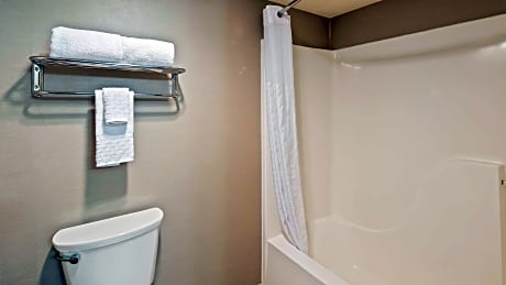 Suite-1 Queen Bed - Mobility Accessible, Roll In Shower, Sofabed, Non-Smoking, Full Breakfast