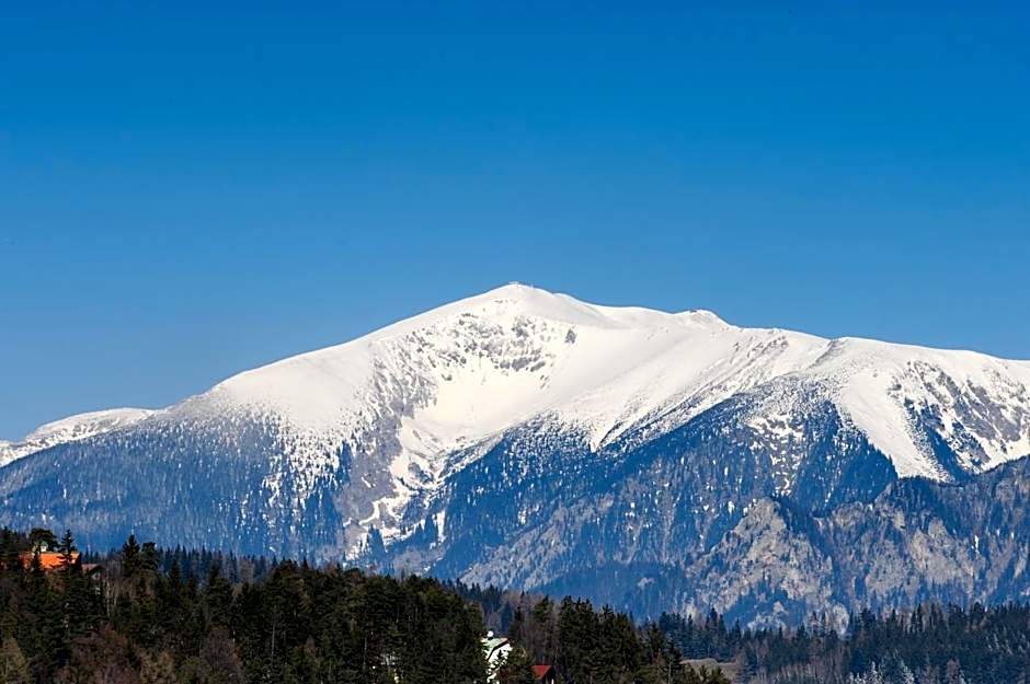 Kirchenwirt in Maria Schutz