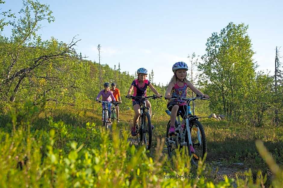 Vemdalsskalets Högfjällshotell & lägenheter