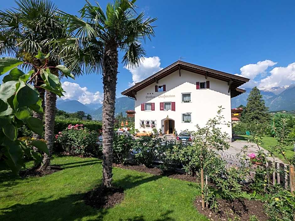 Guesthouse Pension Grafenstein