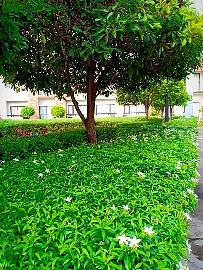 ONE OASIS B1 back of SM MALL, Free Pool Wifi