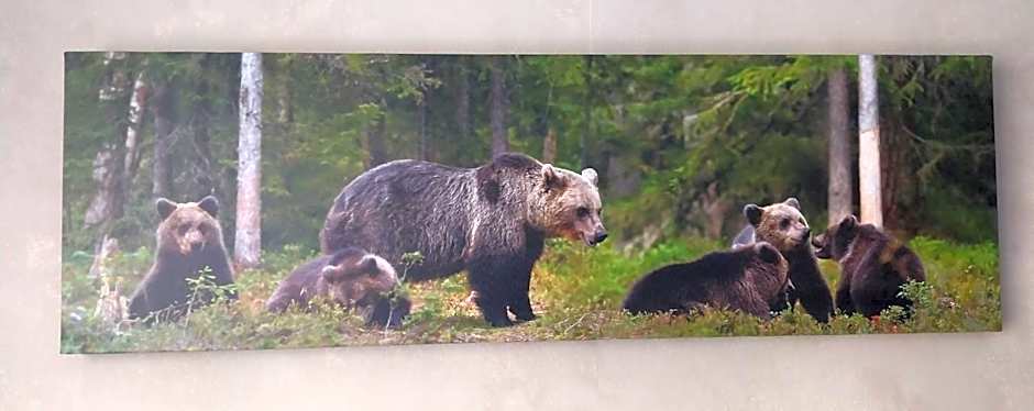 Hôtel les Deux Cols