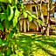 Upani in Diani complimentary cook for villas only, room service for deluxe suites