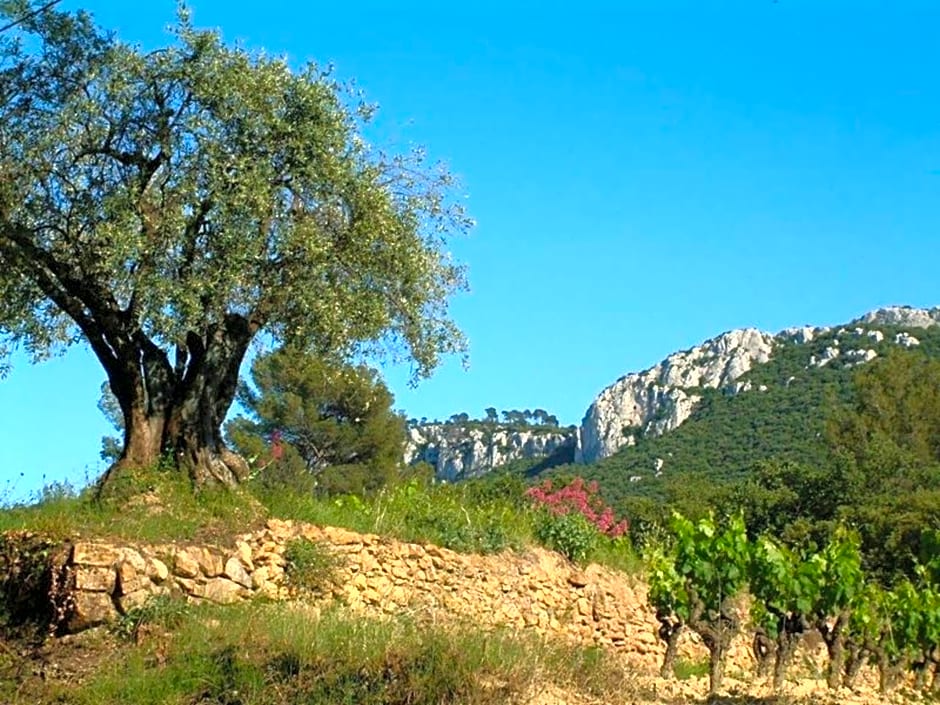 Family Apartment, 2-6 People, In Provenve