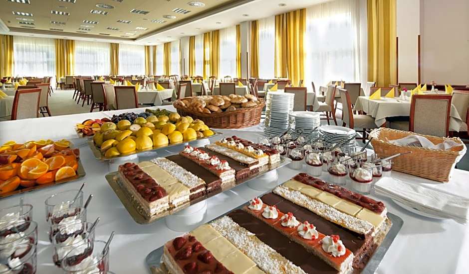 Wellness Hotel Frymburk
