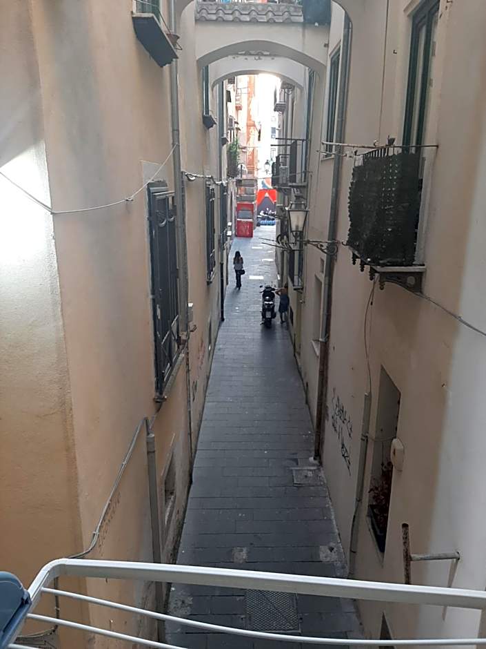 le ginestre in centro
