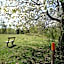 Valle vandrarhem och camping
