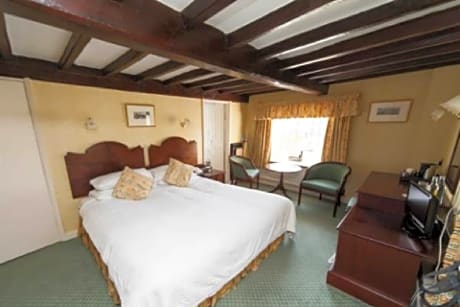 Double or Twin Room with Mountain View