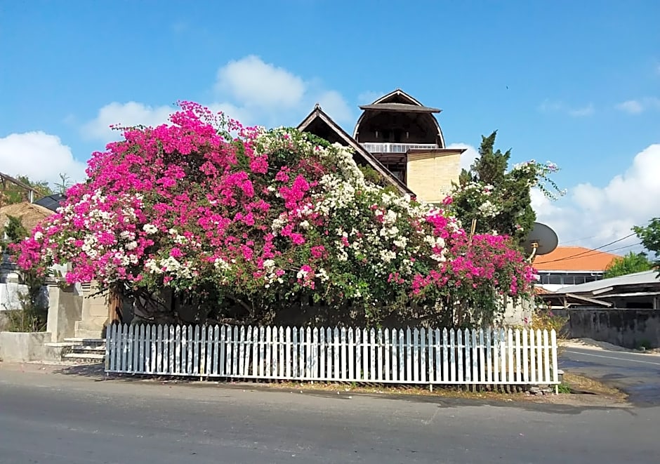 The Dream Home Wooden Classic Villa