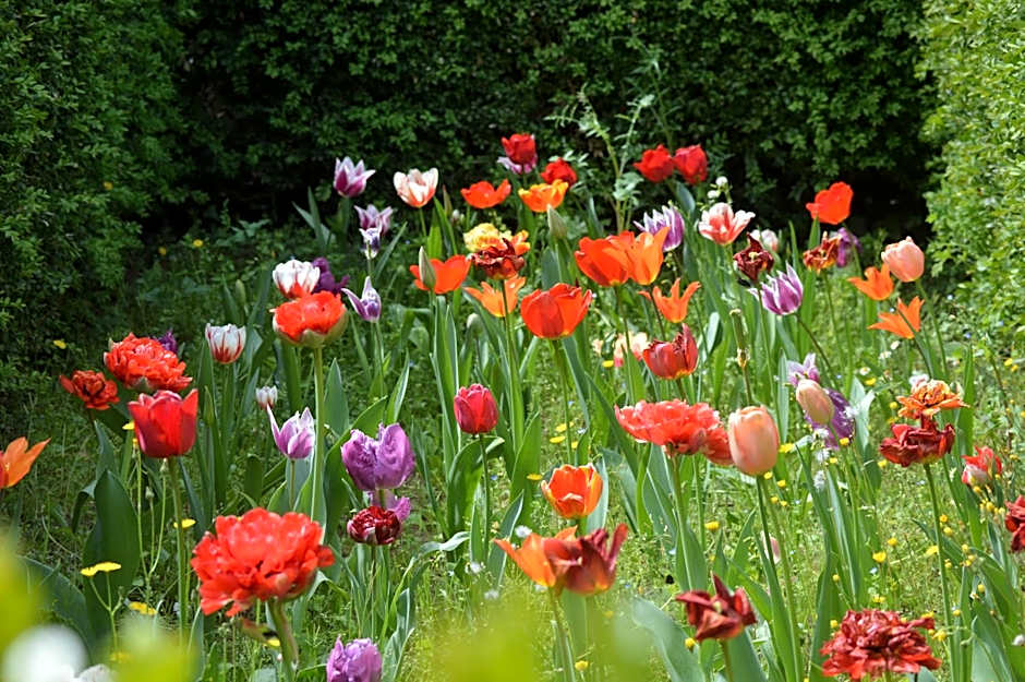 Hotel Villa San Lucchese