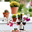 Notis Hotel