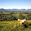 107 George