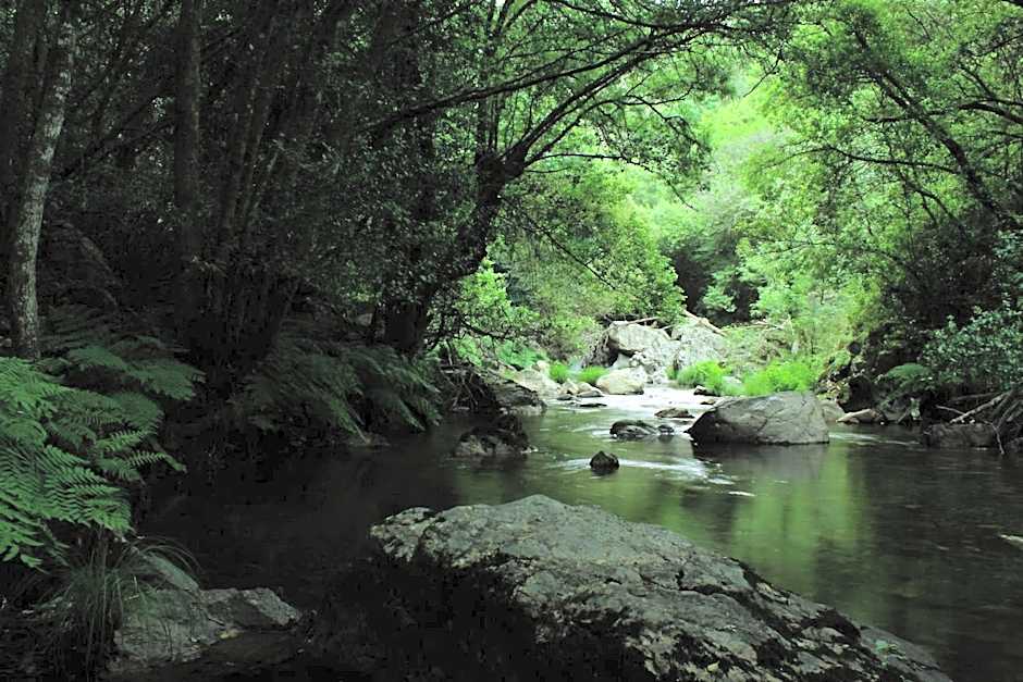 Convento Da Serta Hotel