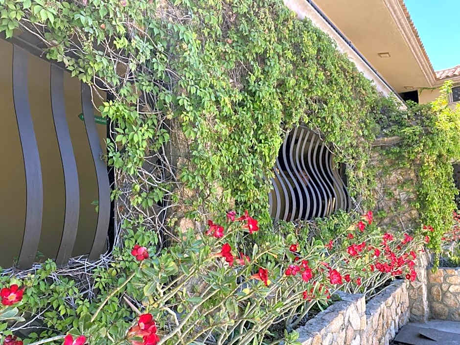 Cabo Vista Hotel Adults Only