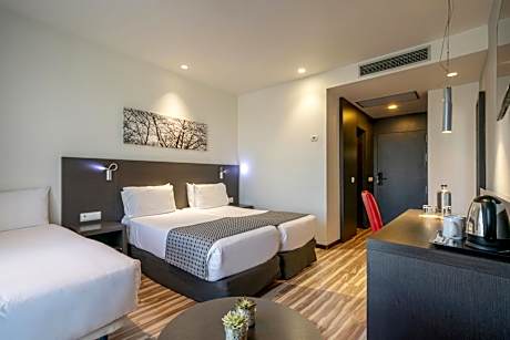 Double Room with Extra Bed (3 Adults)