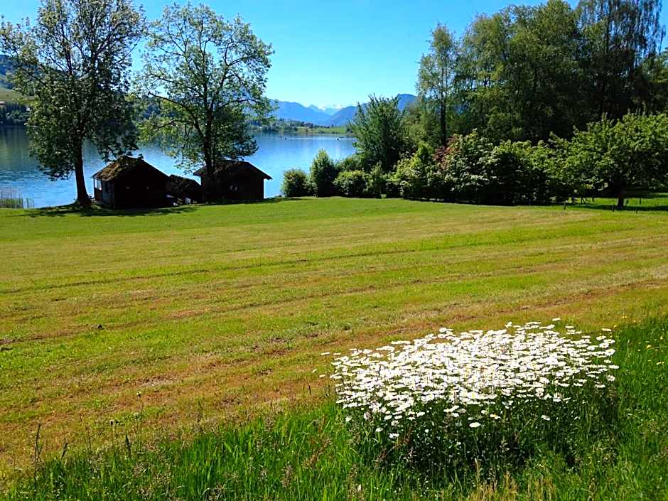 Hotel Garni Dorferwirt am Irrsee