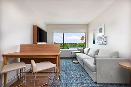 One-Bedroom King Suite with Sofa Bed