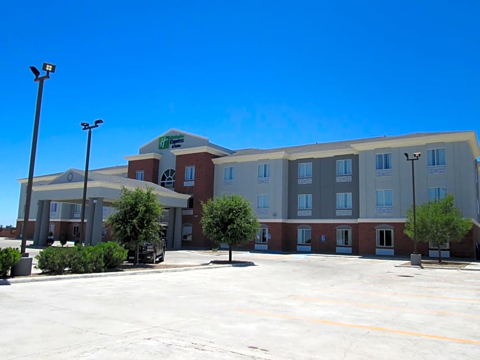 Holiday Inn Express Hotel And Suites Fort Stockton