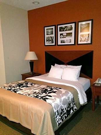 1 King Bed, Nonsmoking