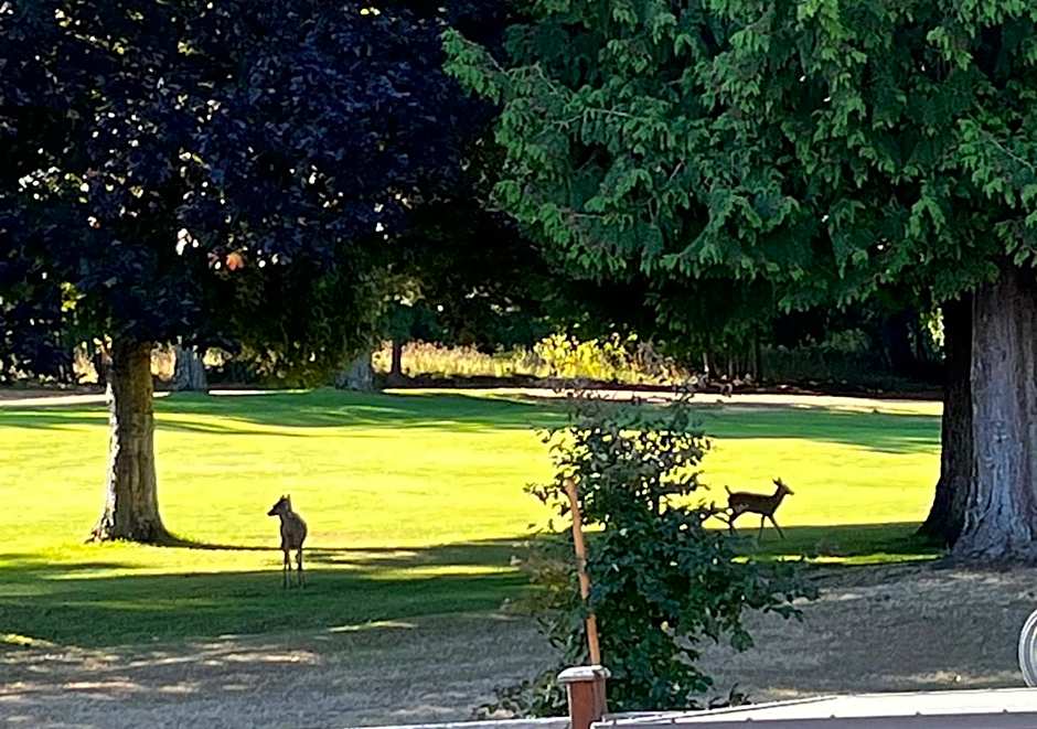 Oceanside Manor - Golf Course View