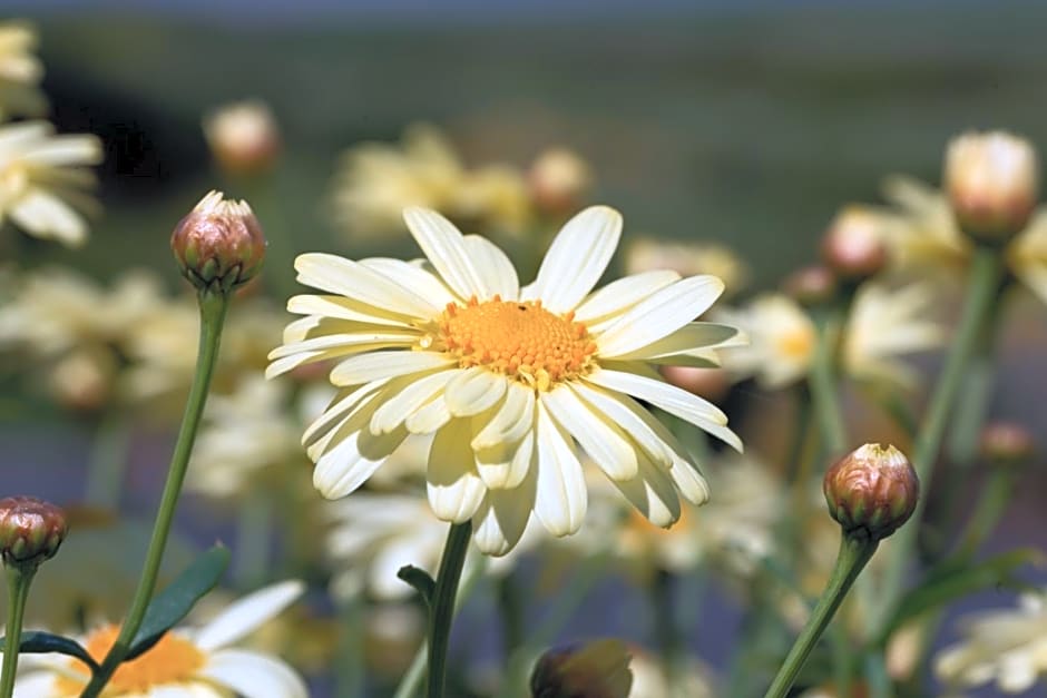 Beenoskee Bed and Breakfast