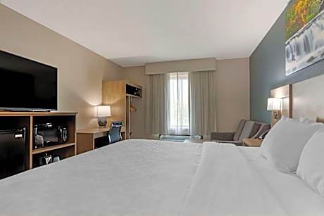 1 King Bed Nonsmoking Accessible