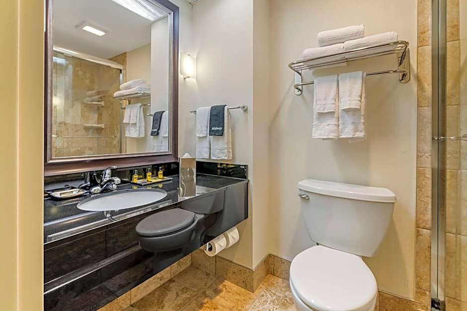 Best Western Plus Inntowner Madison