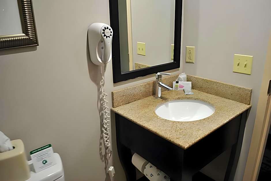 Best Western Owego Inn