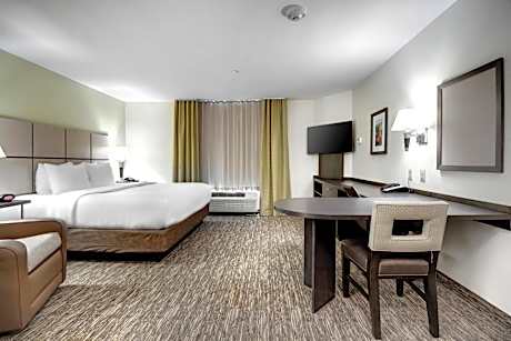 1 King Bed Studio Suite