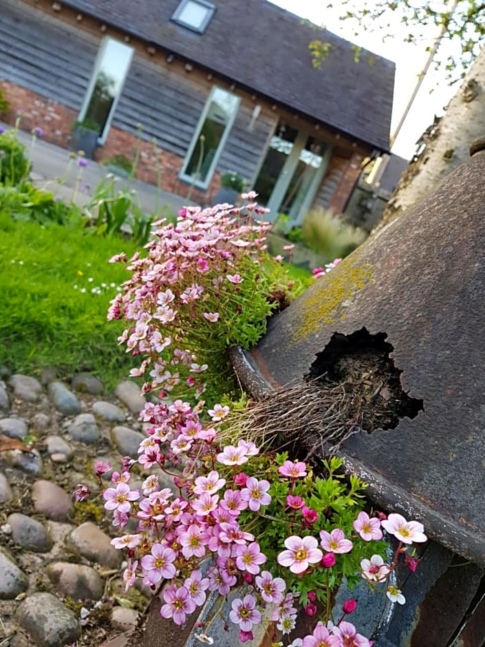 The Dorm Bed and Breakfast