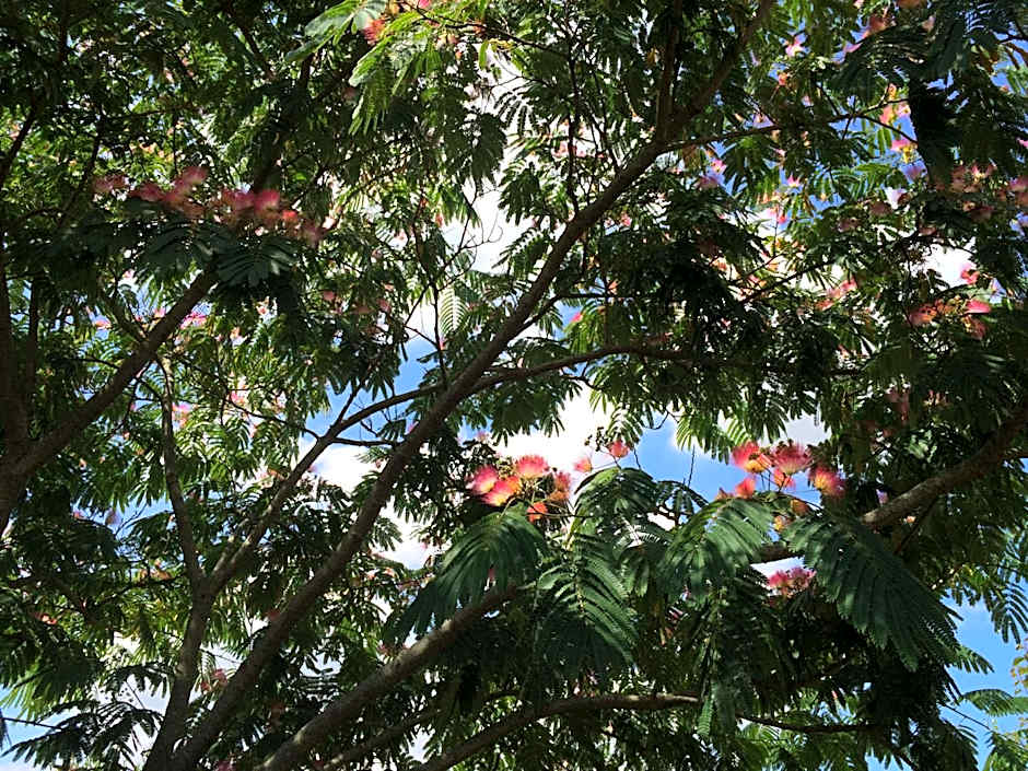 Chambres d'hôtes de La Roche