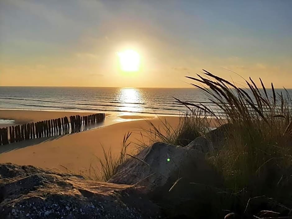 Nature Et Plage