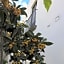 Boutique Hotel I Cinque Balconi