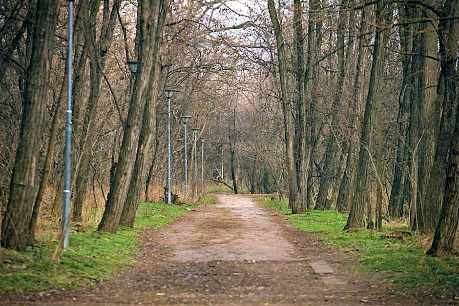 Green Hisar Hotel Family