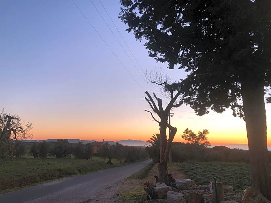 On Holiday Between Sky And Sea geco Di Campiglia pet friendly big garden