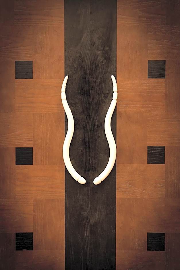 AVANI Lesotho Hotel & Casino