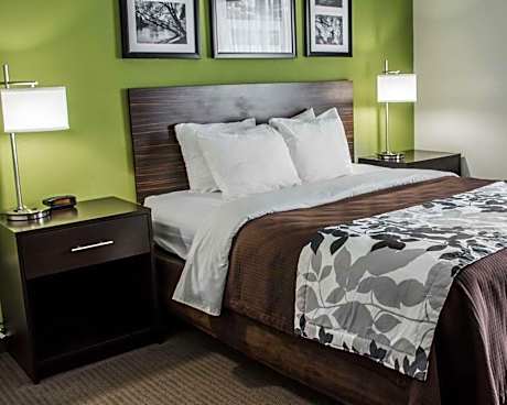 1 Queen Bed, Nonsmoking, Accessible