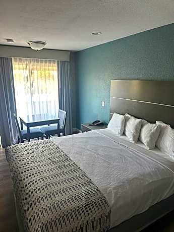 Large Single Room