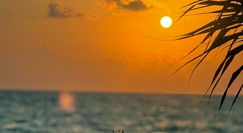 Aavya Cove Villas by Aahaasa