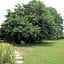 PIETRASANTA - VERSILIA - Villa Arzilla Garden con piscina