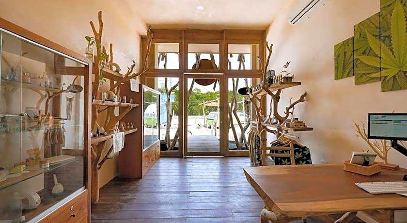 Cervecería Tulum Boutique Hotel & Beer Spa - All Inclusive