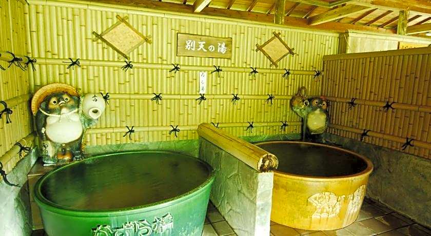 Iya Onsen Hotel Kazurabashi