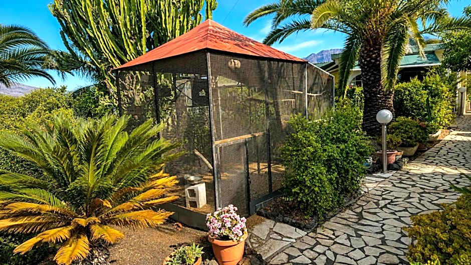 Jardin de Aridane